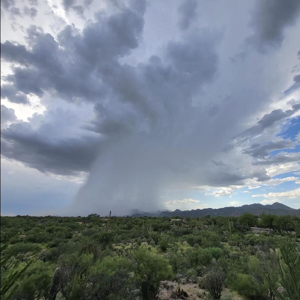 Luxury 3Bd 2Ba Home Near Tucson With Desert Views - Low Summer Rates! Oro Valley Zewnętrze zdjęcie