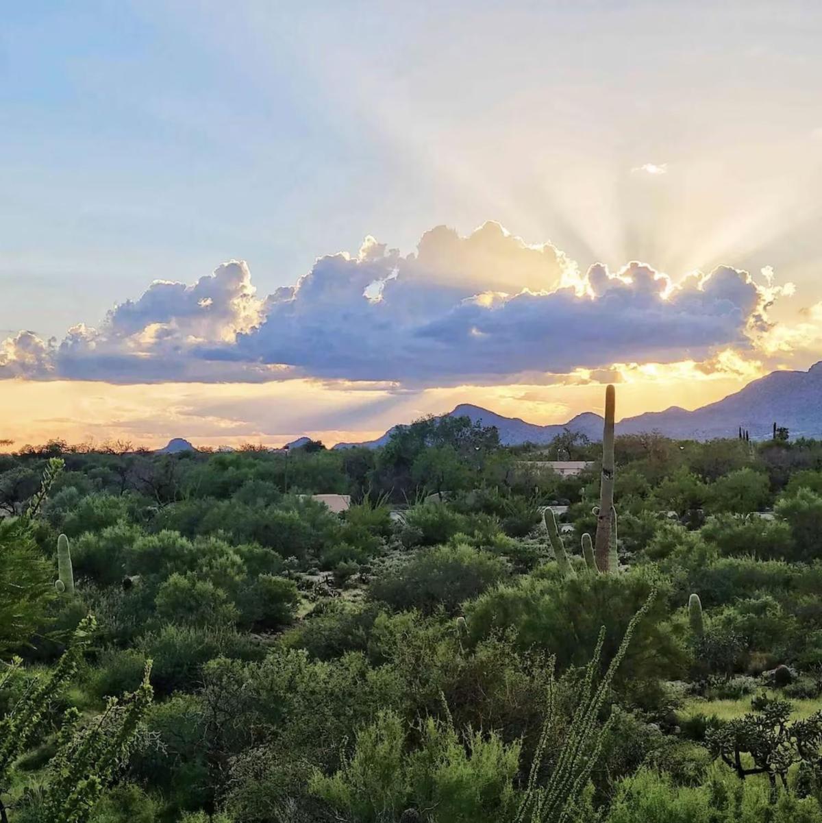 Luxury 3Bd 2Ba Home Near Tucson With Desert Views - Low Summer Rates! Oro Valley Zewnętrze zdjęcie
